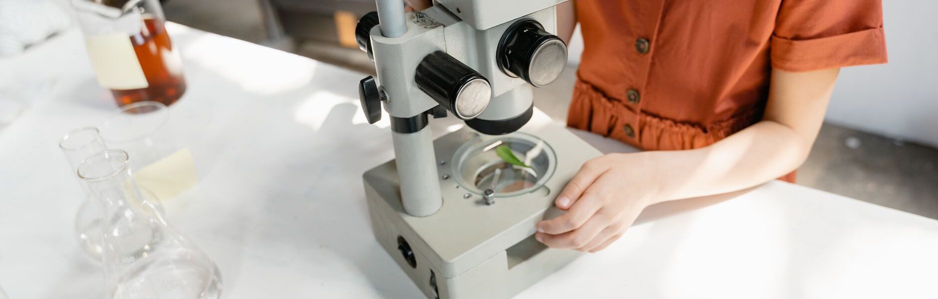 future of scientific research